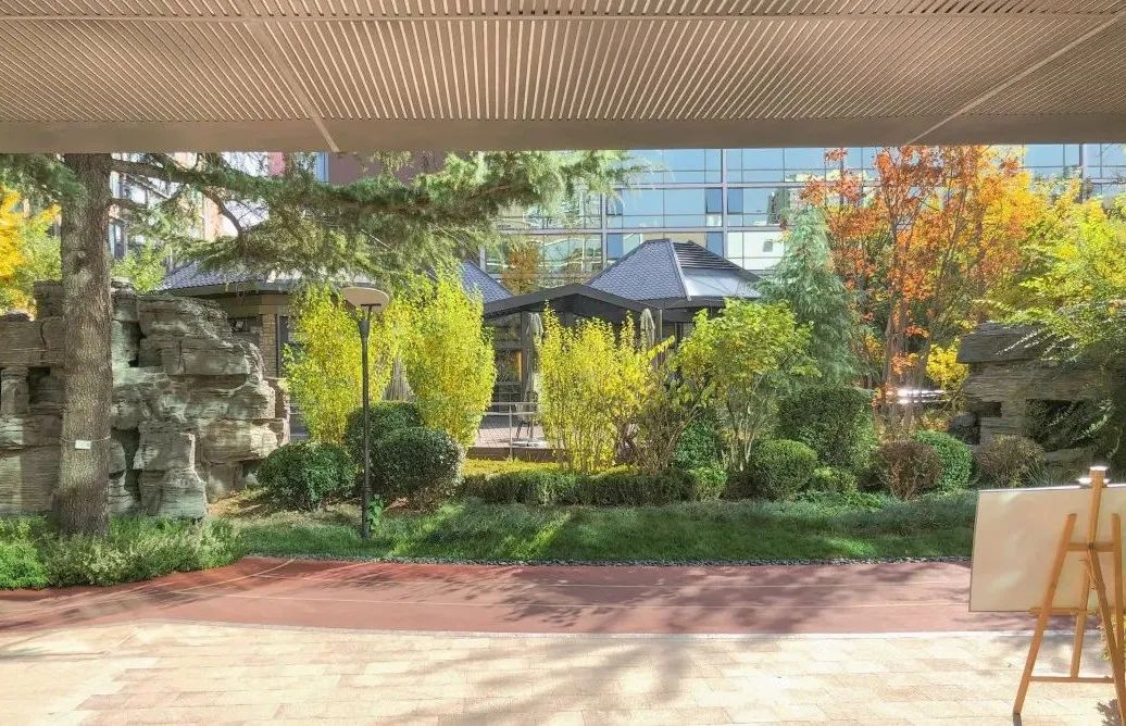社区园林步道